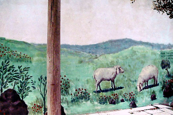 ציורי קיר של כבשים במושב