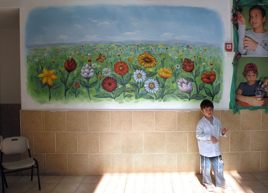 ציורי קיר שדה פרחים